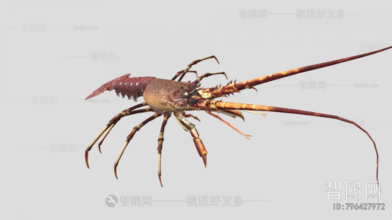 Modern Aquatic Product