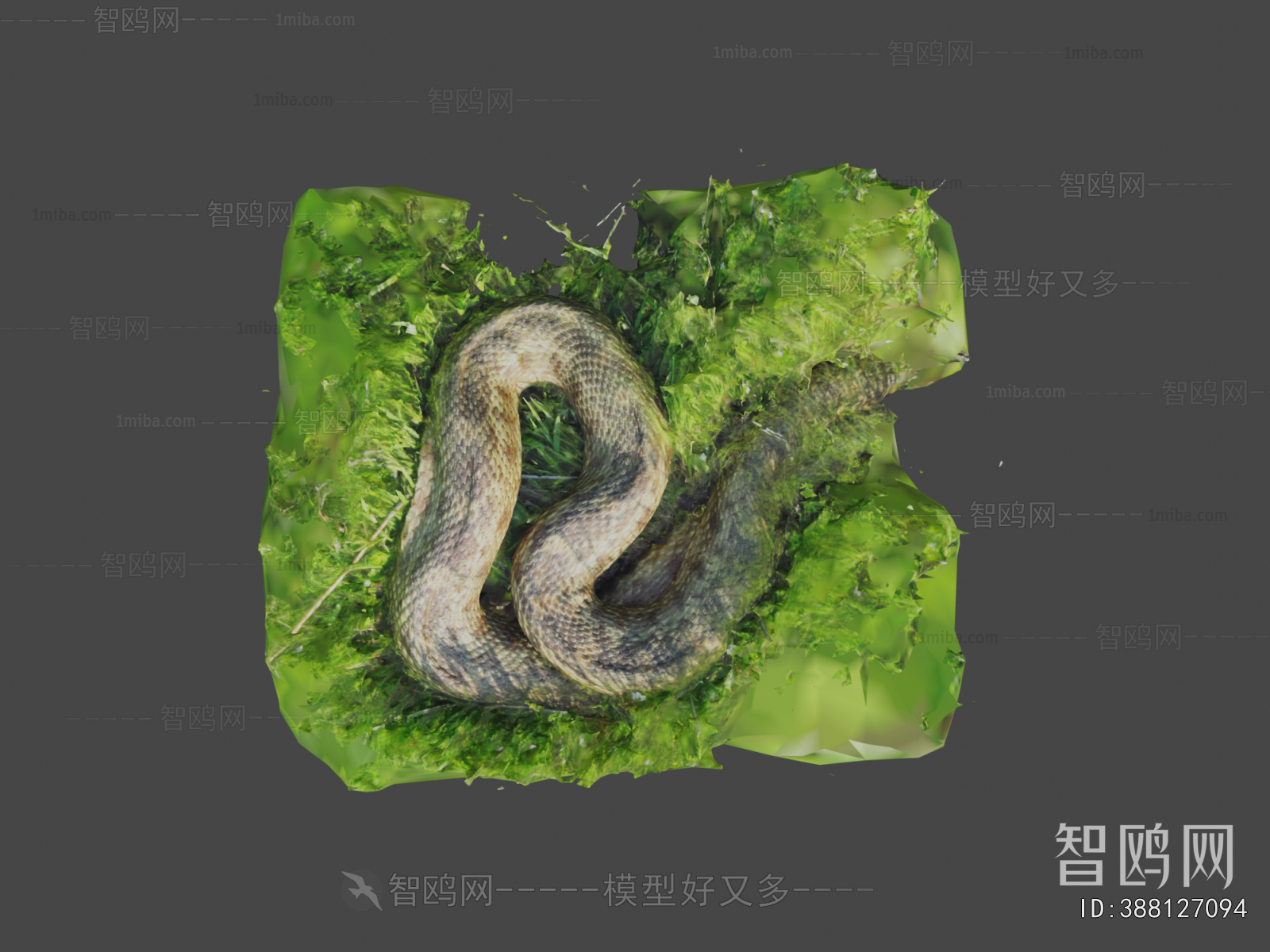 Modern Reptile