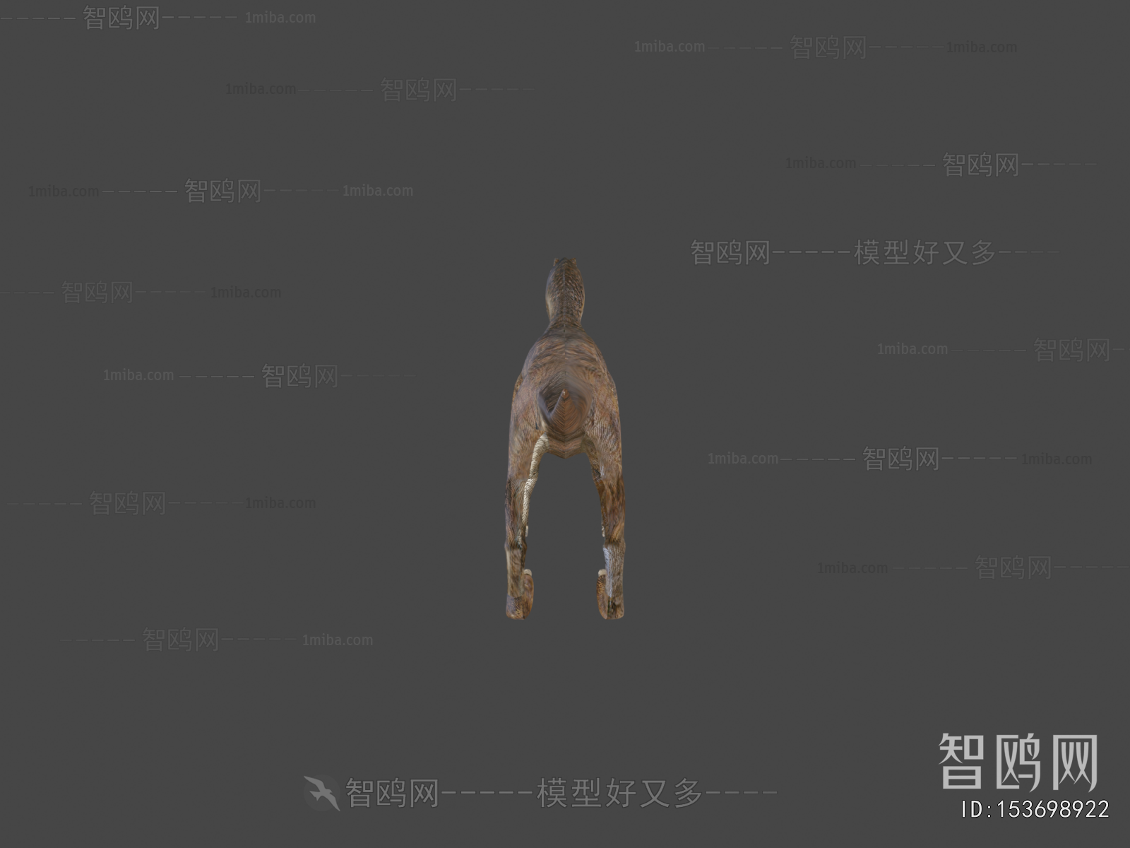 Modern Other Animals