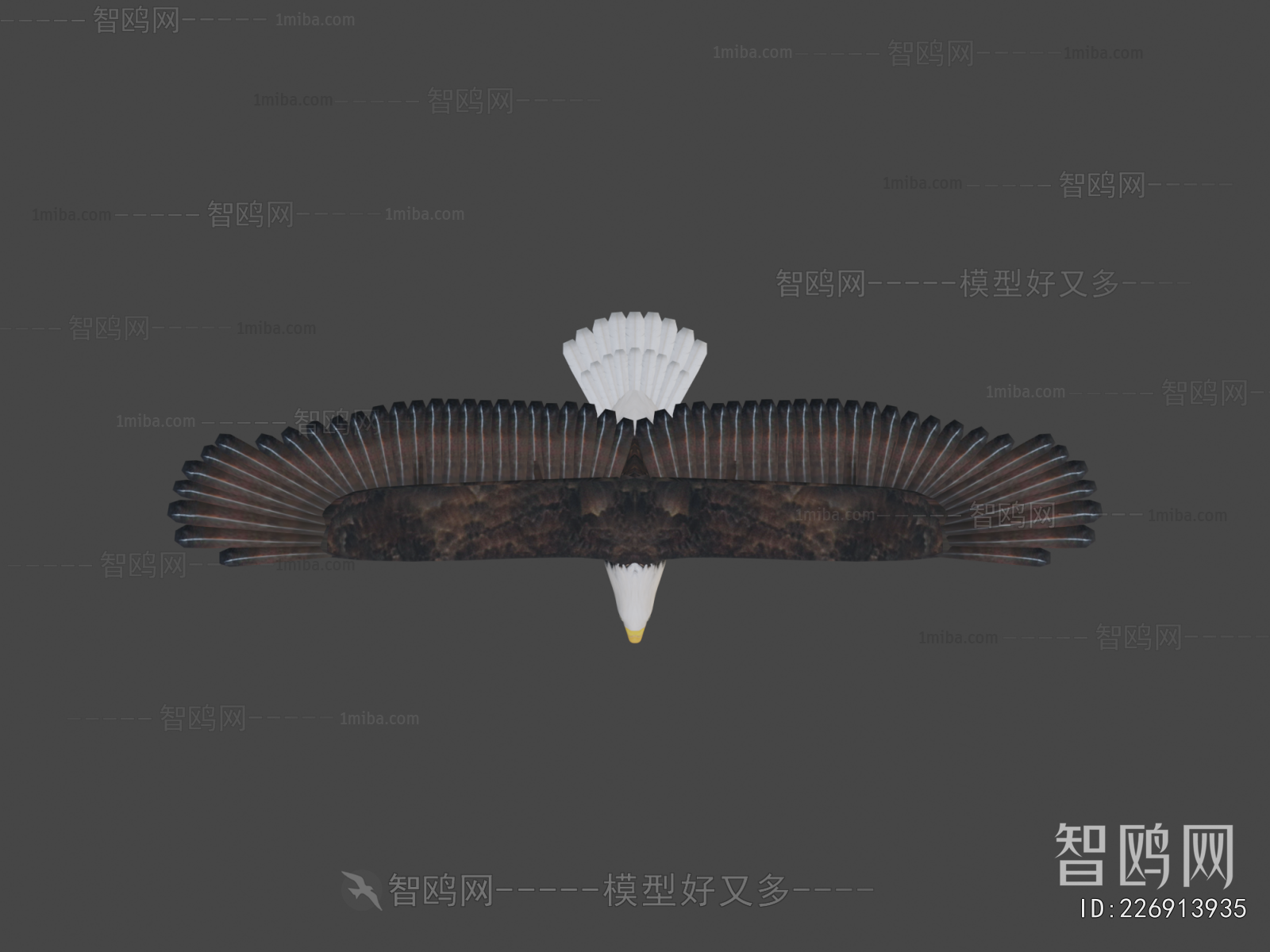 Modern Flying Animals