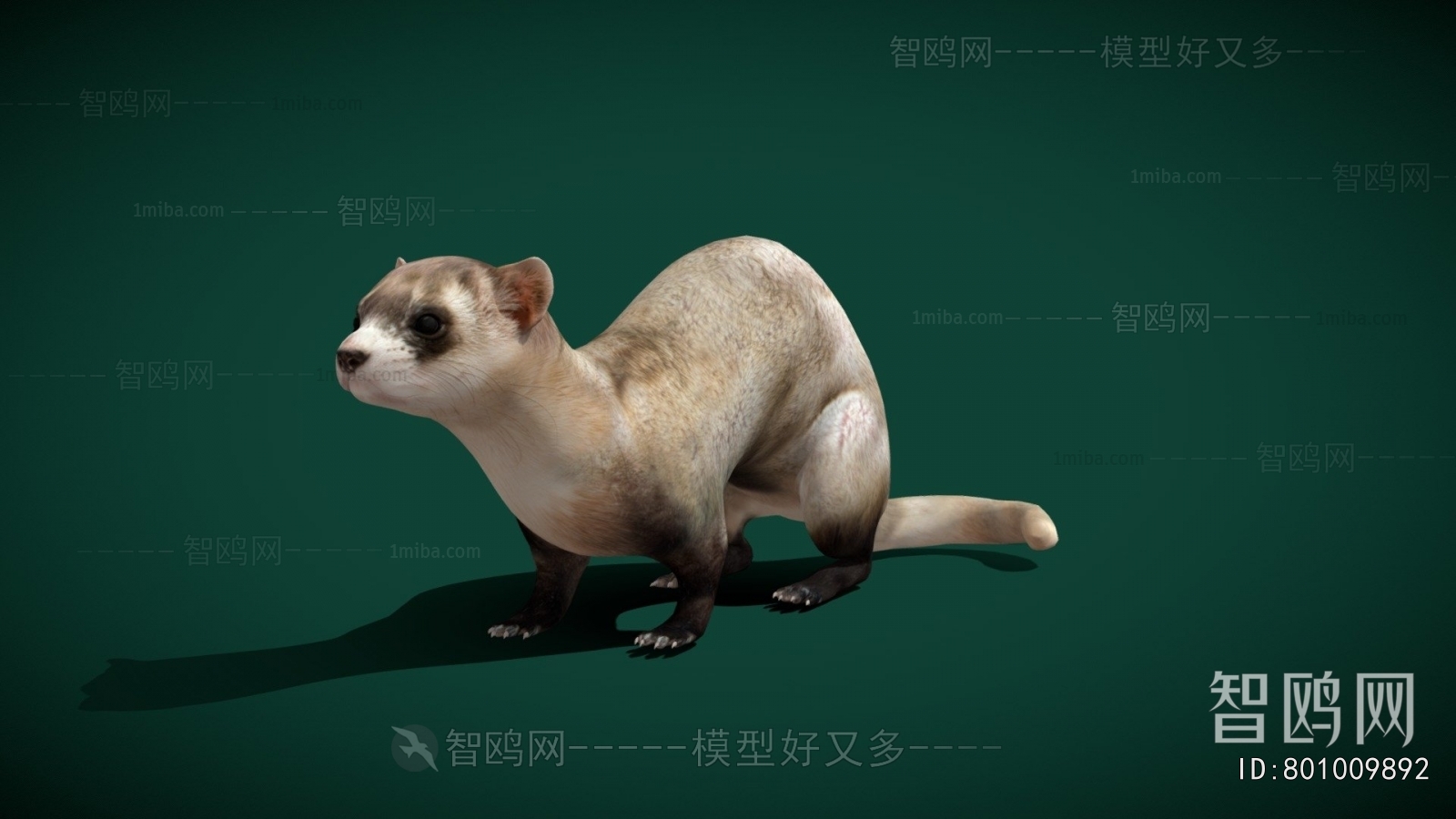 Modern Mammal