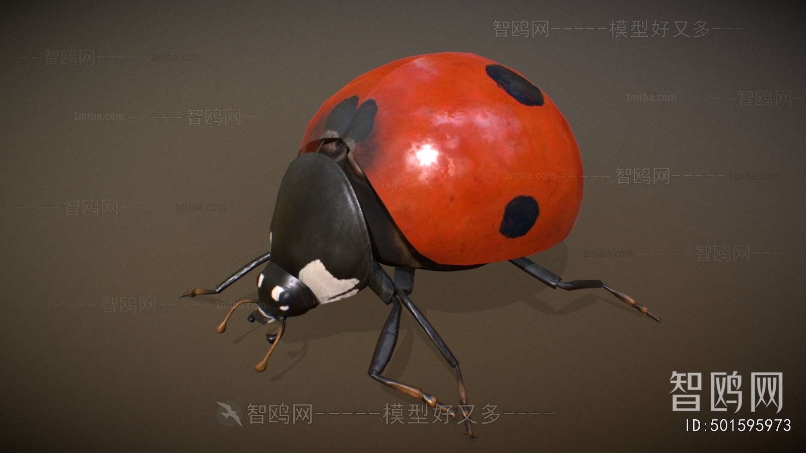 Modern Animal