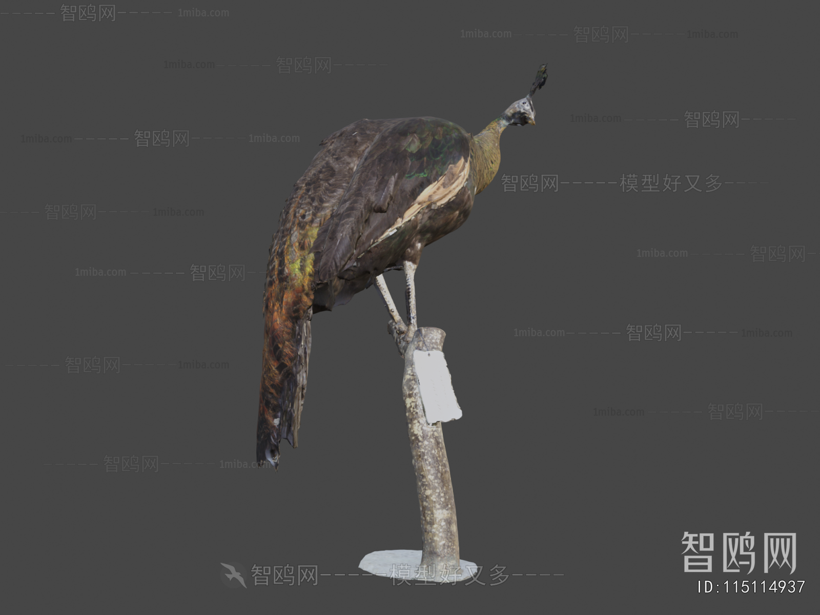 Modern Flying Animals