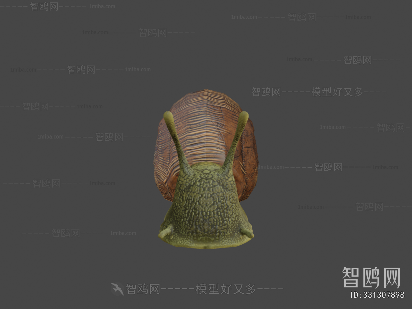 Modern Reptile