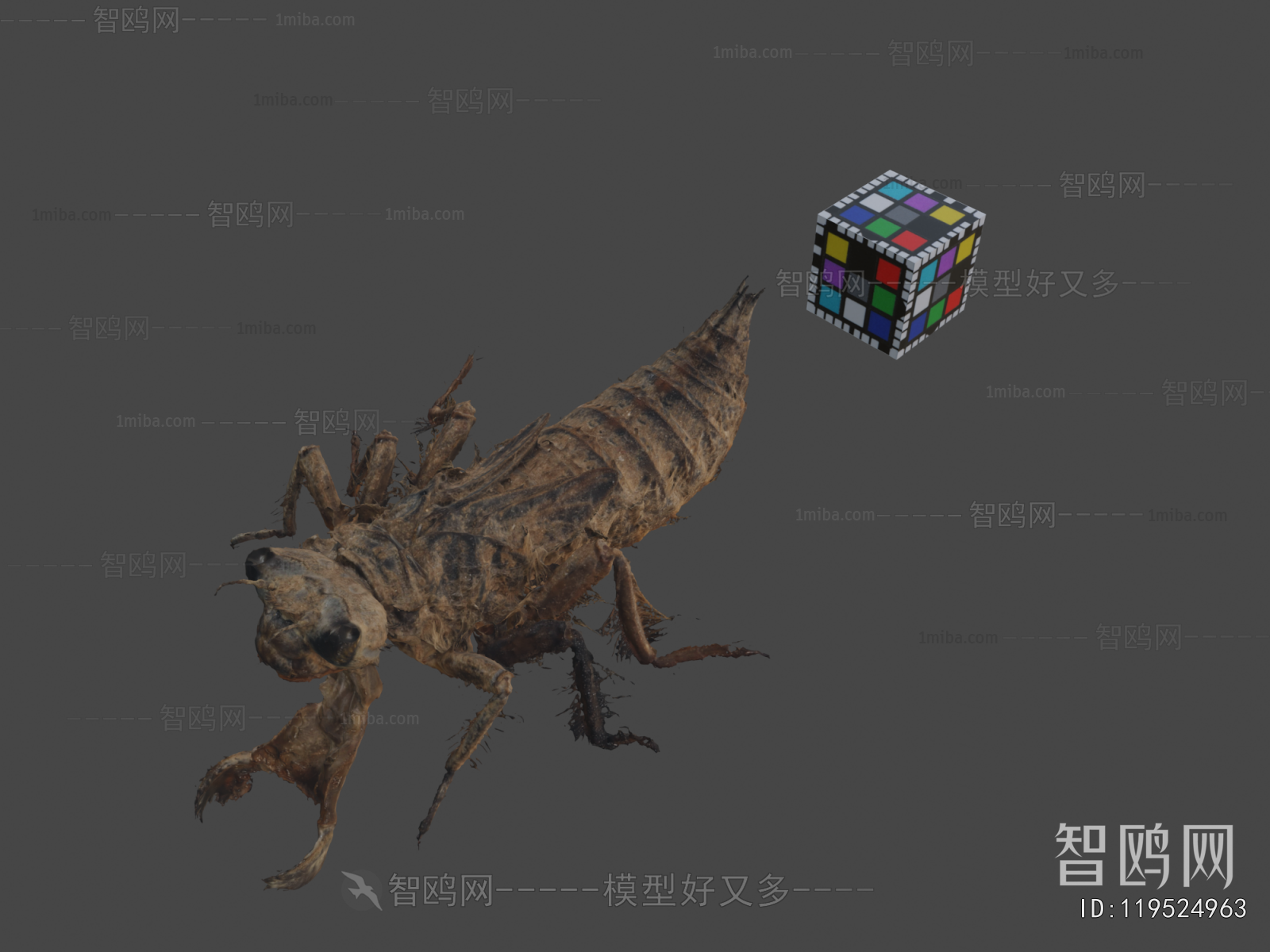 Modern Animal