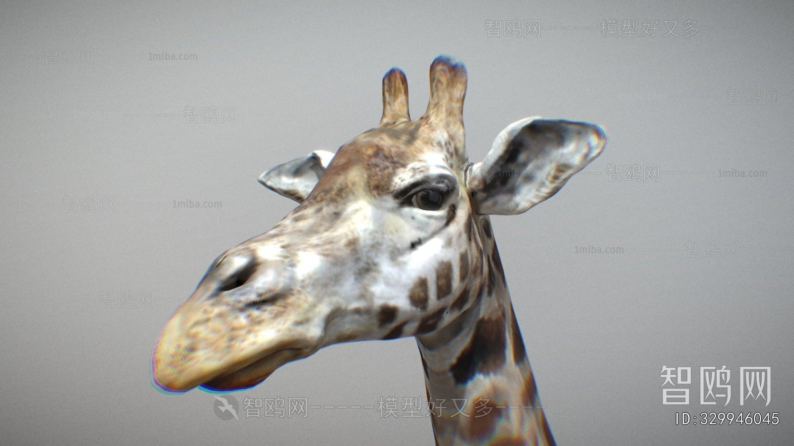 Modern Animal
