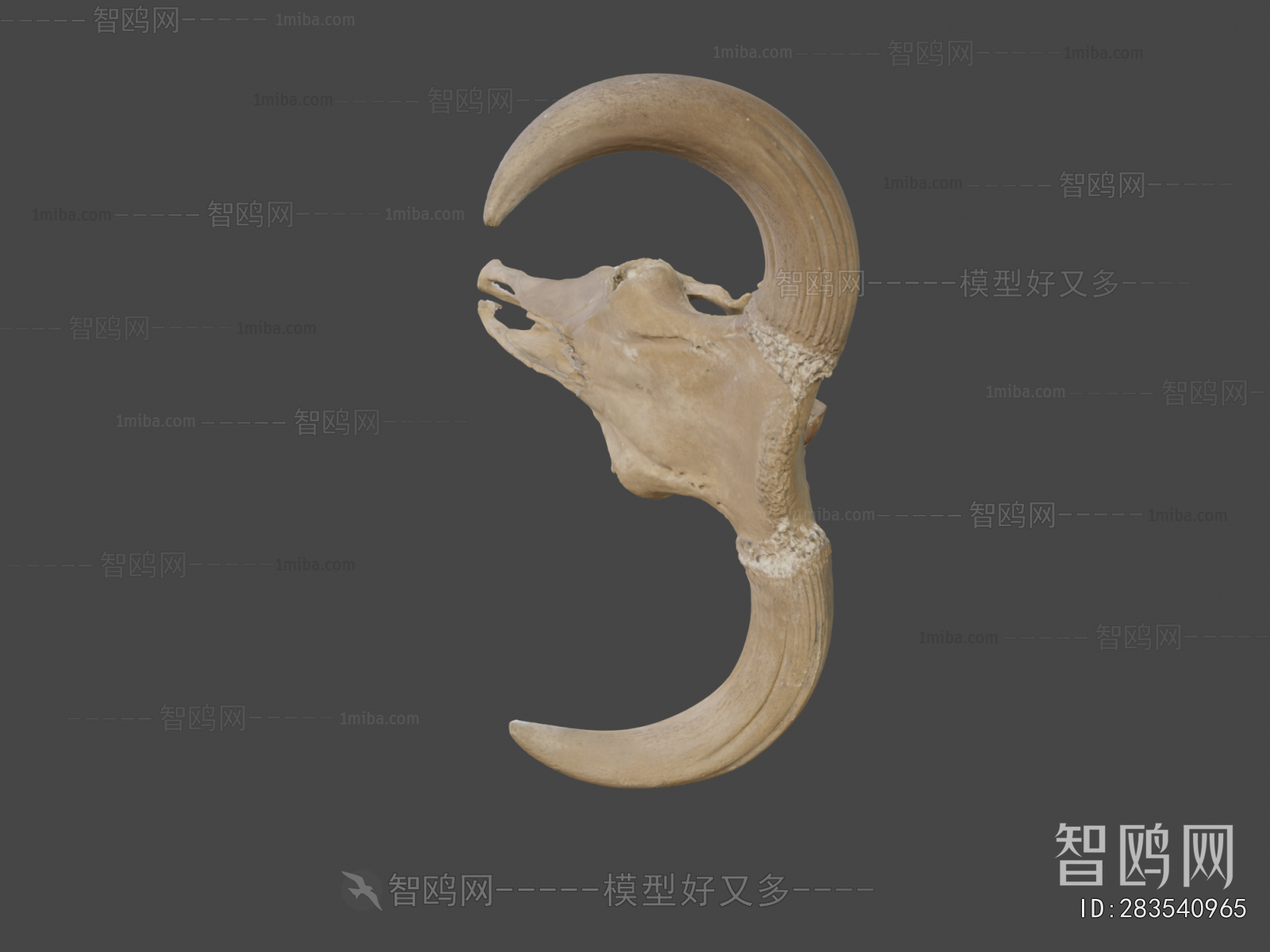 Modern Medical Equipment