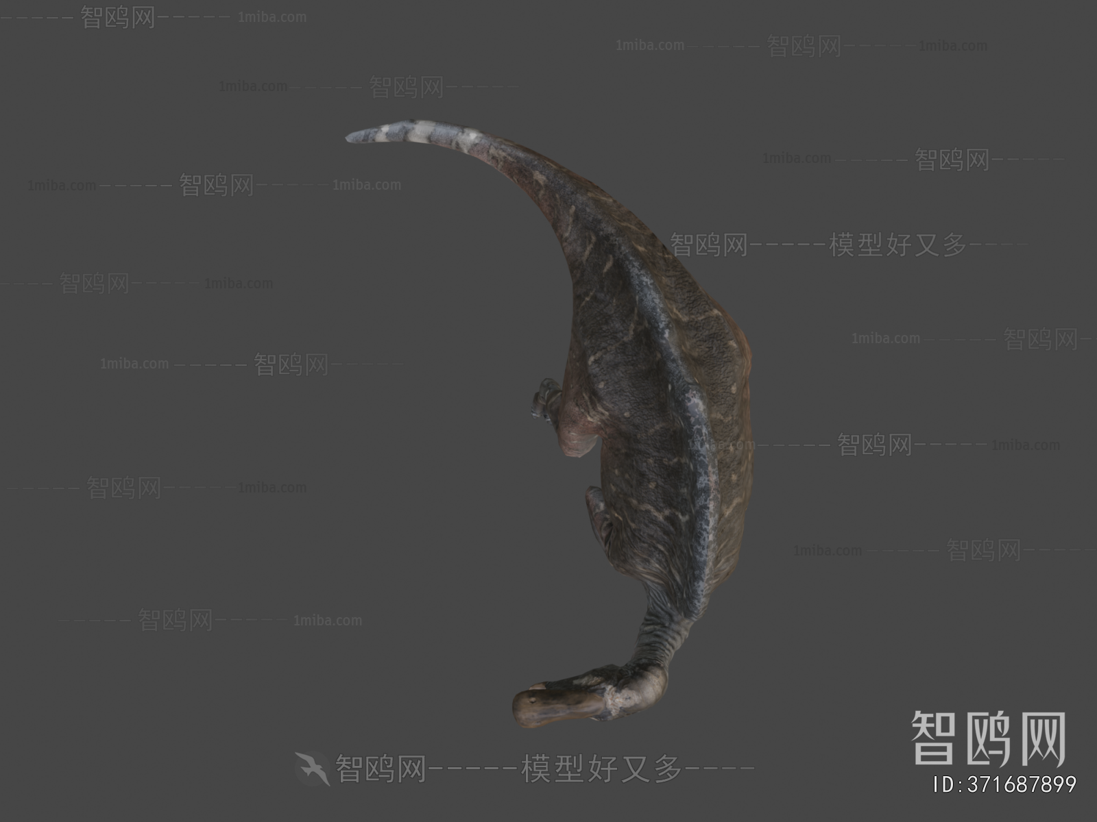 Modern Other Animals