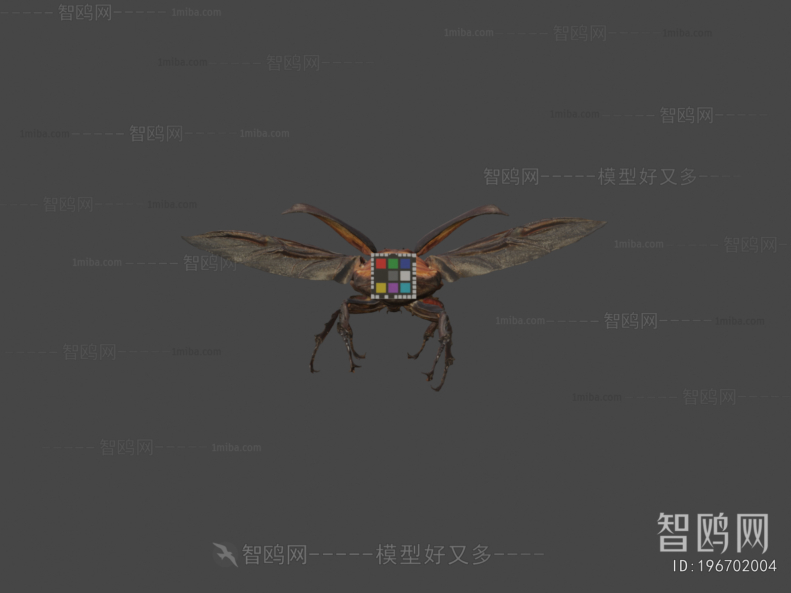 Modern Animal