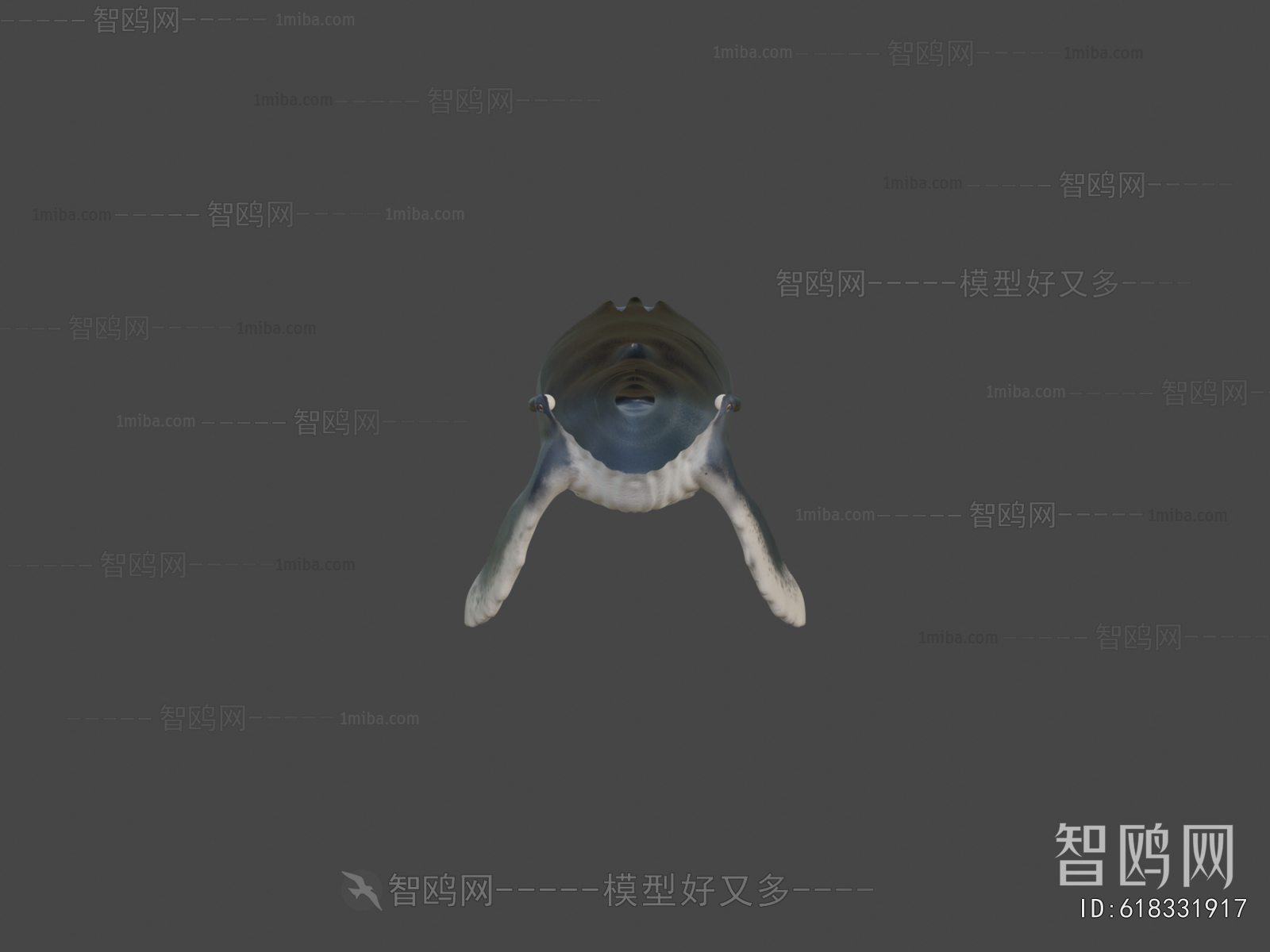 Modern Aquatic Animals