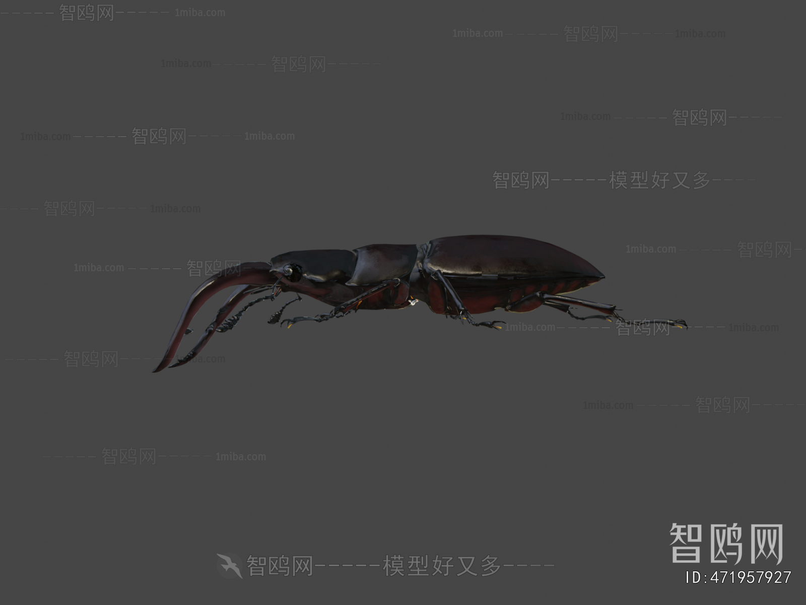 Modern Animal
