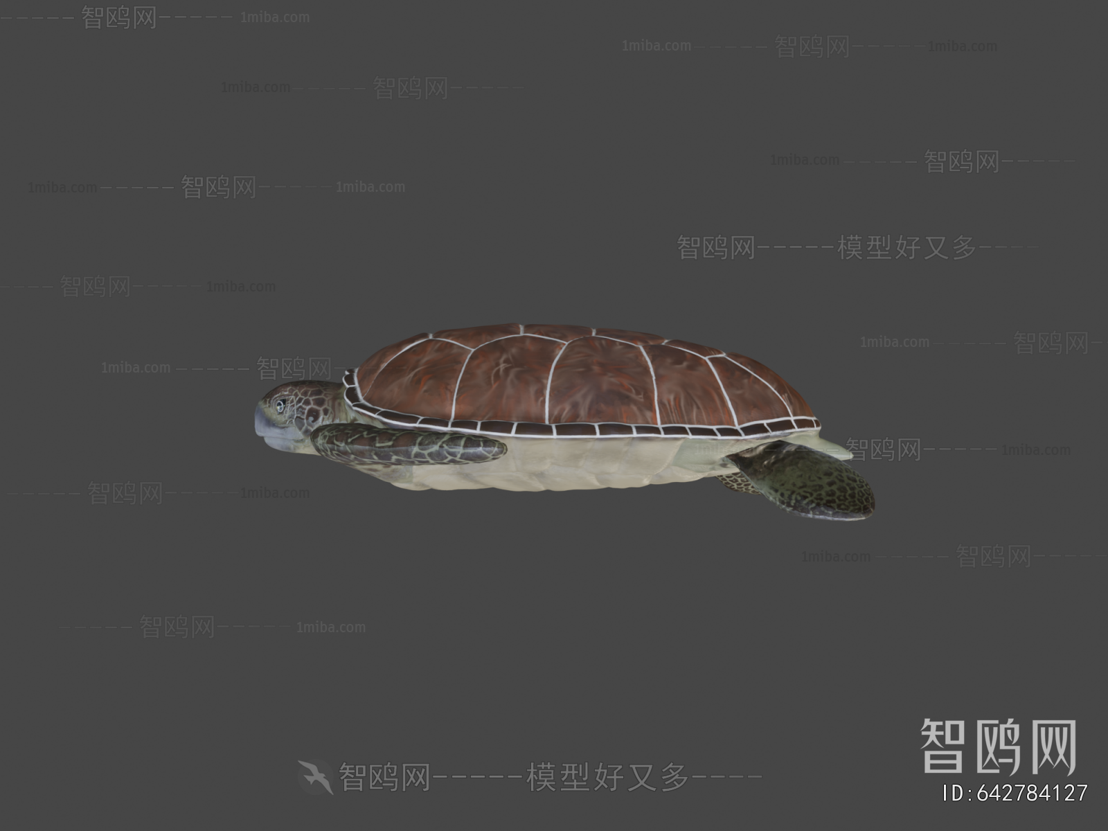 Modern Aquatic Animals