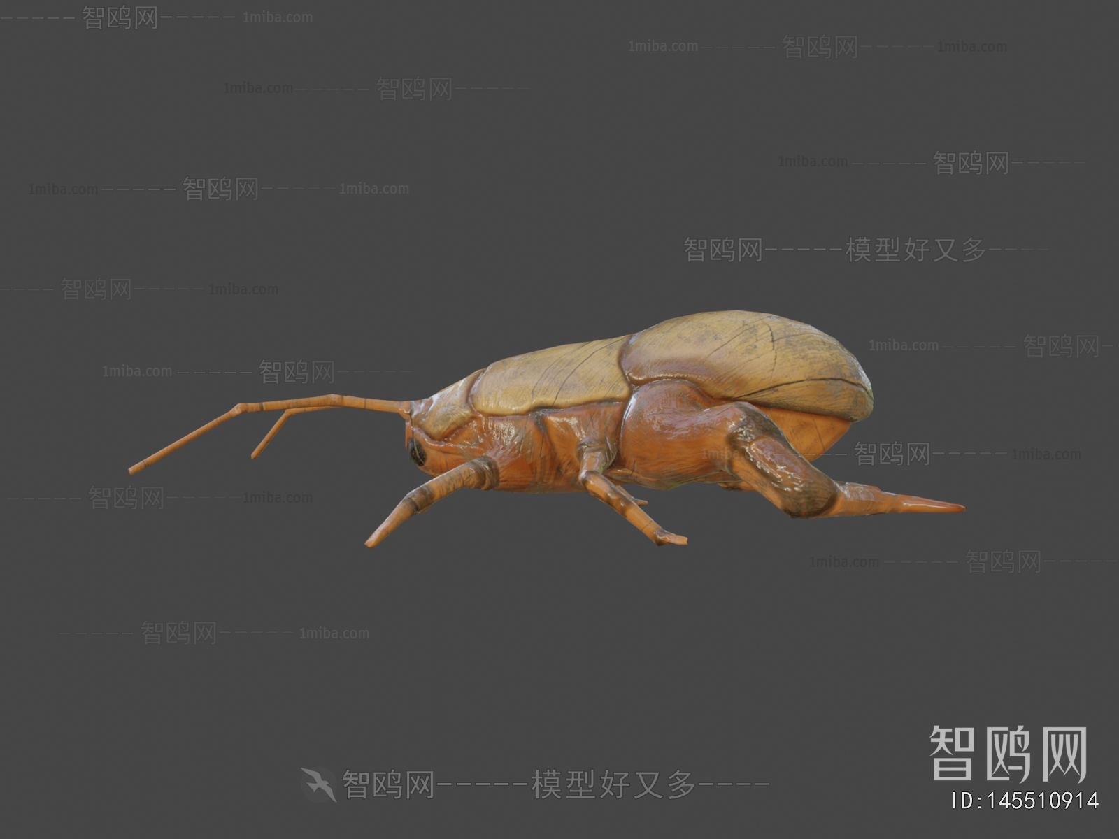 Modern Animal