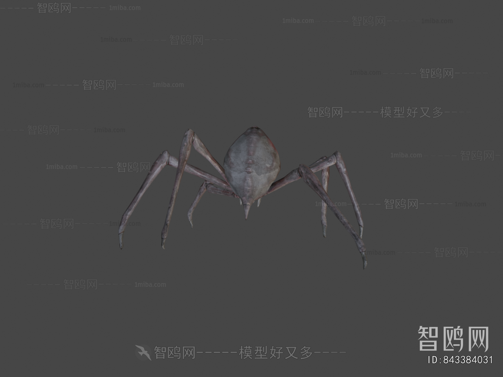 Modern Animal