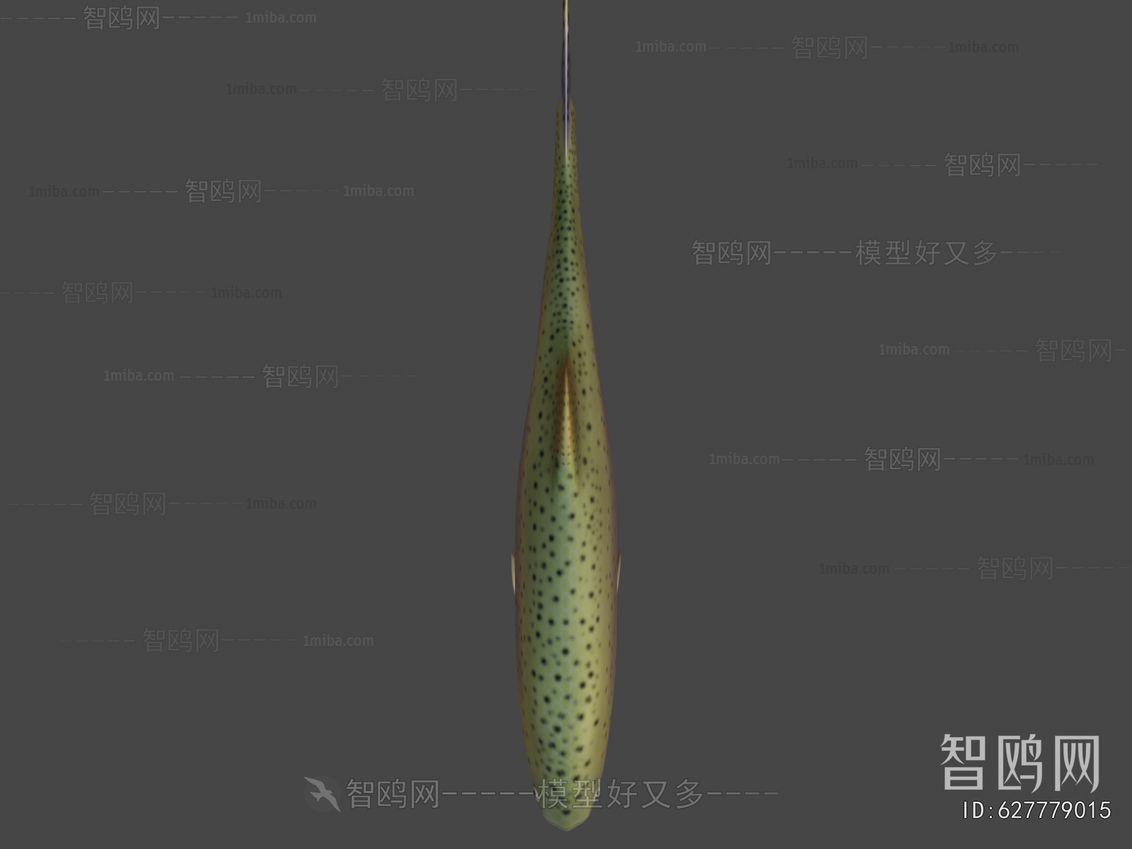 Modern Aquatic Animals