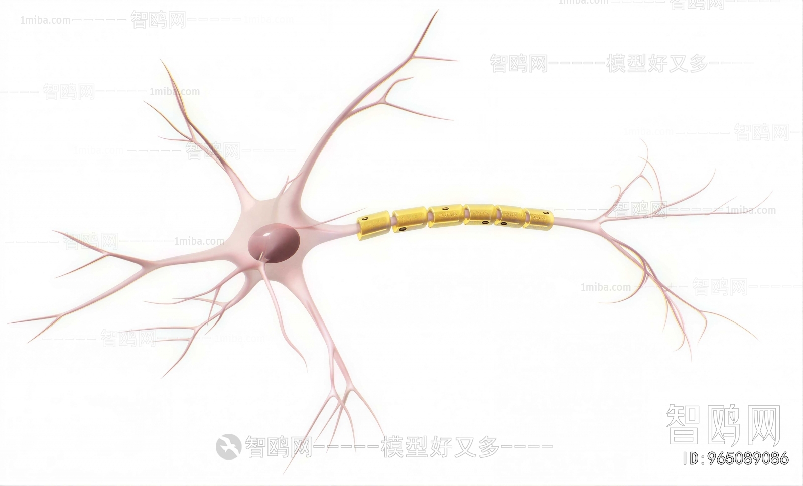 Modern Medical Equipment