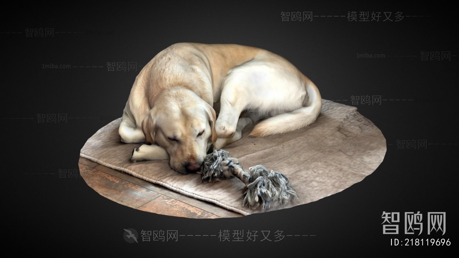 Modern Animal Dog