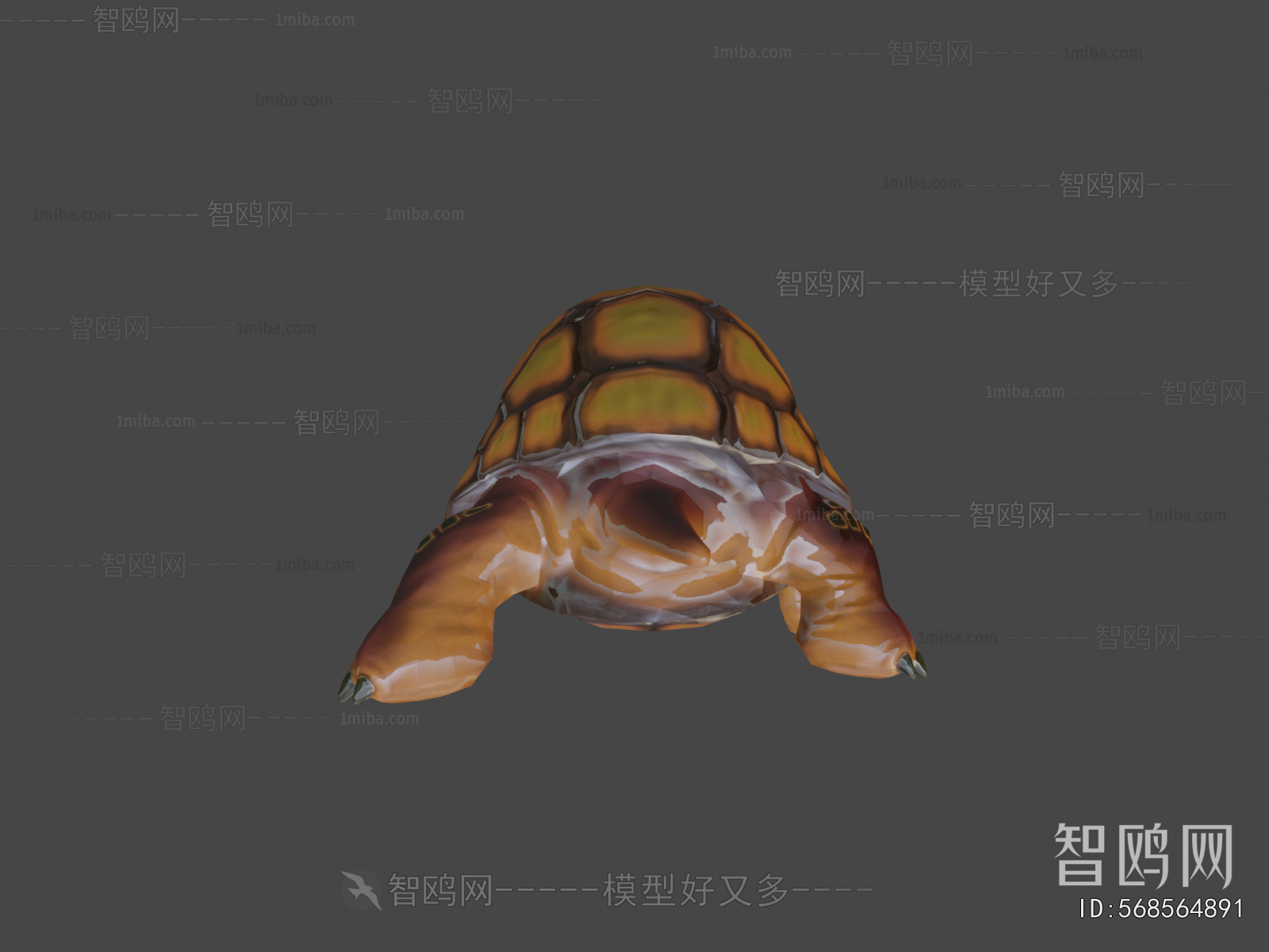 Modern Reptile