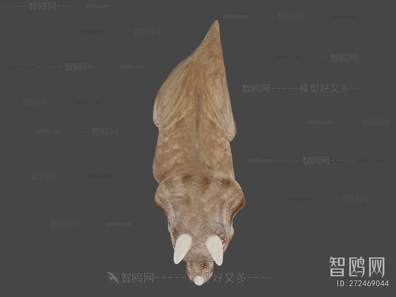 Modern Mammal