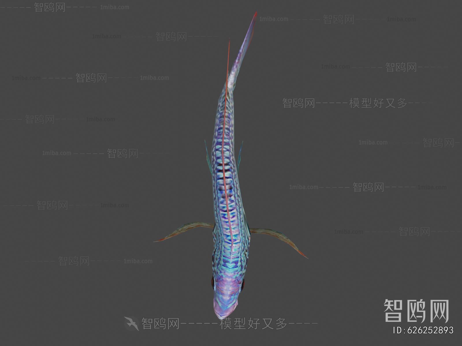Modern Aquatic Animals