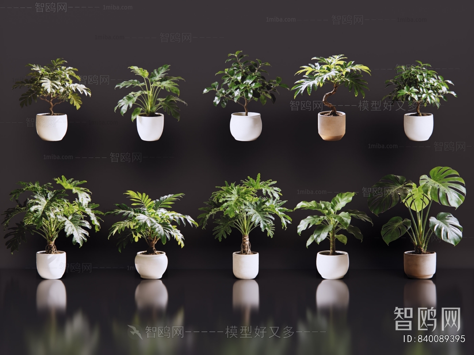 Modern Potted Green Plant