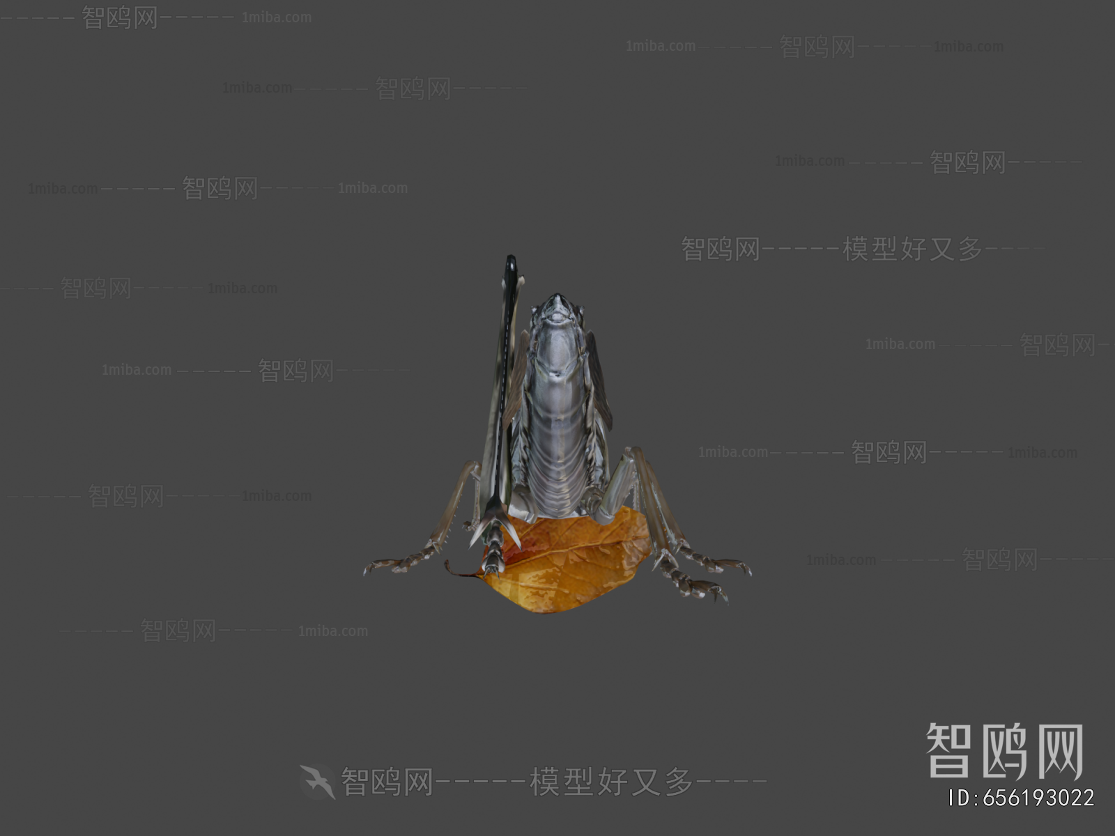 Modern Animal