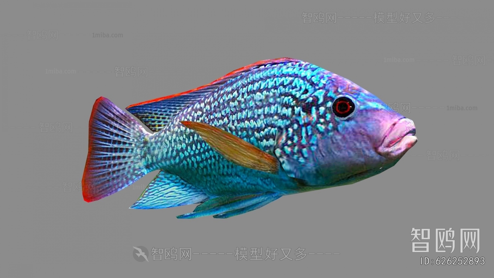 Modern Aquatic Animals