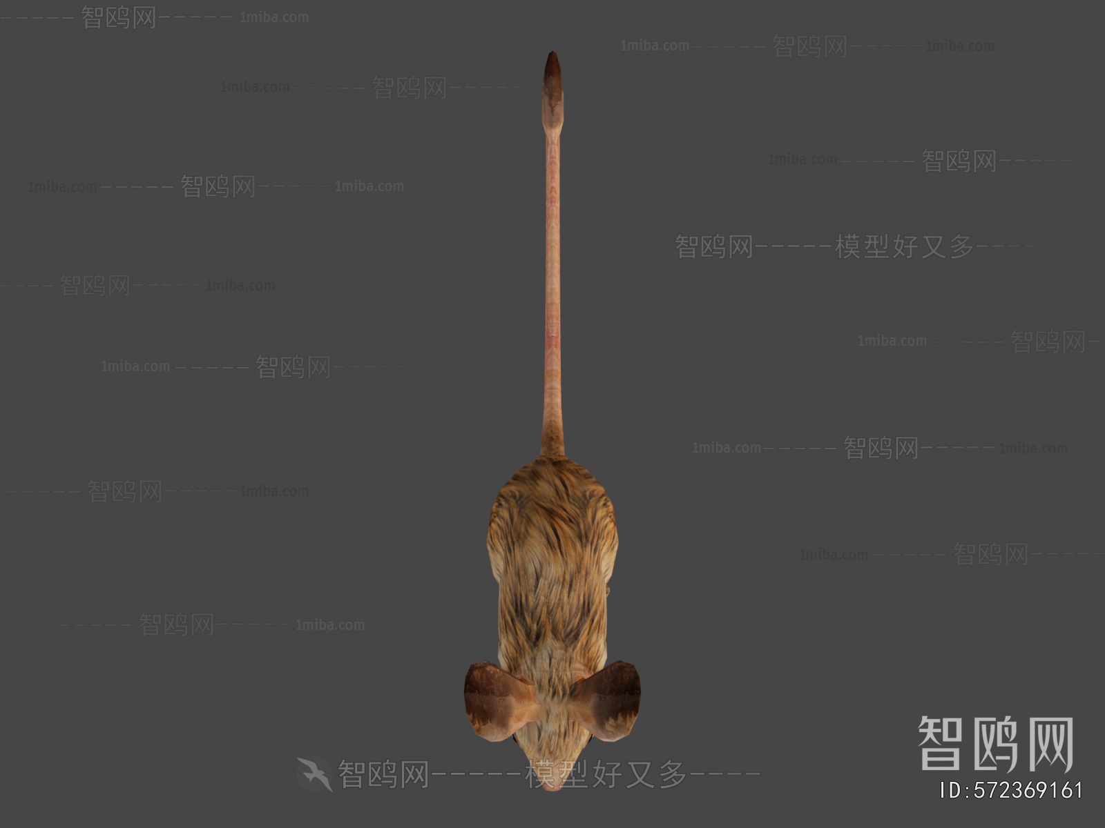 Modern Mammal