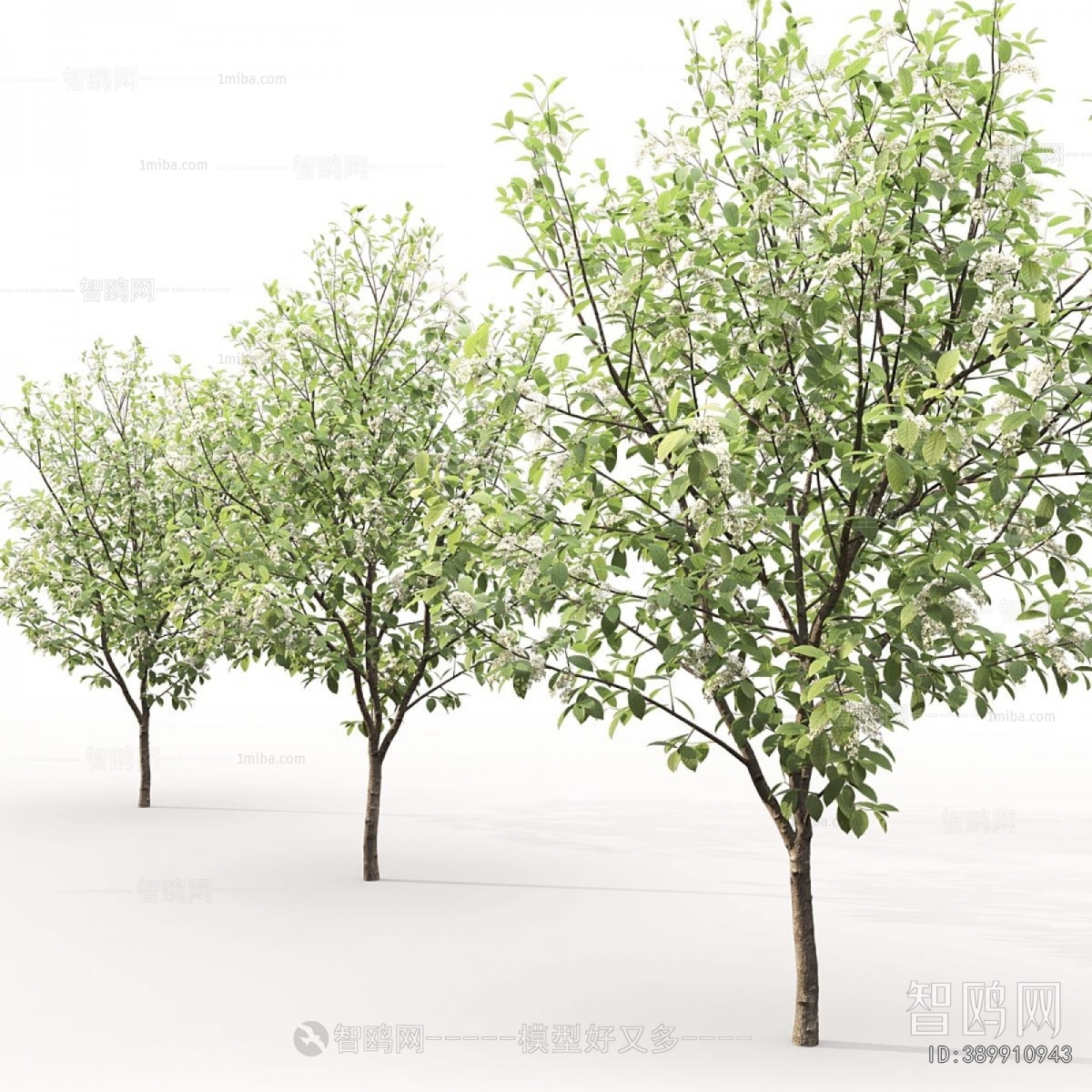 Modern Tree