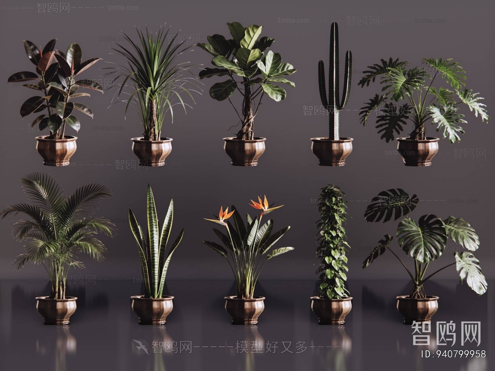 Modern Ground Green Plant Potted Plants