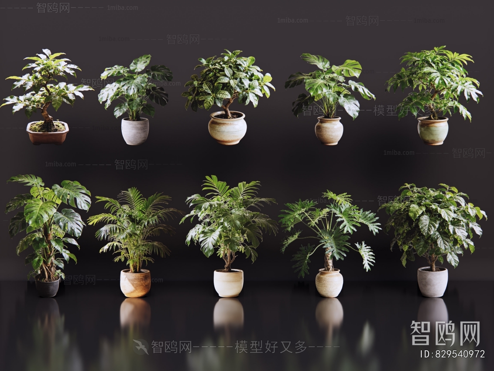 Modern Potted Green Plant