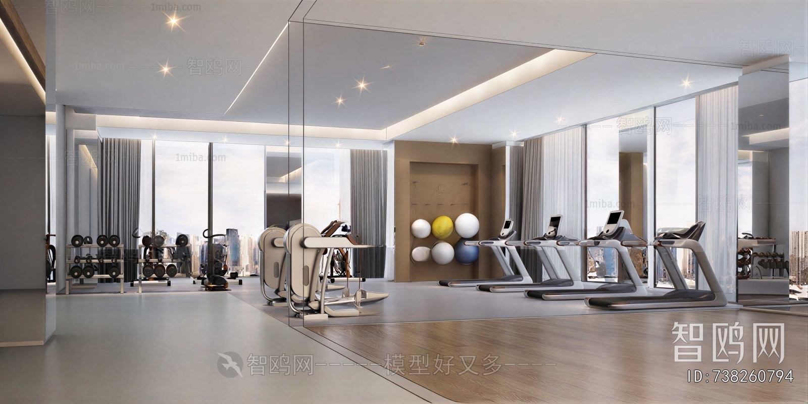 Modern Gym