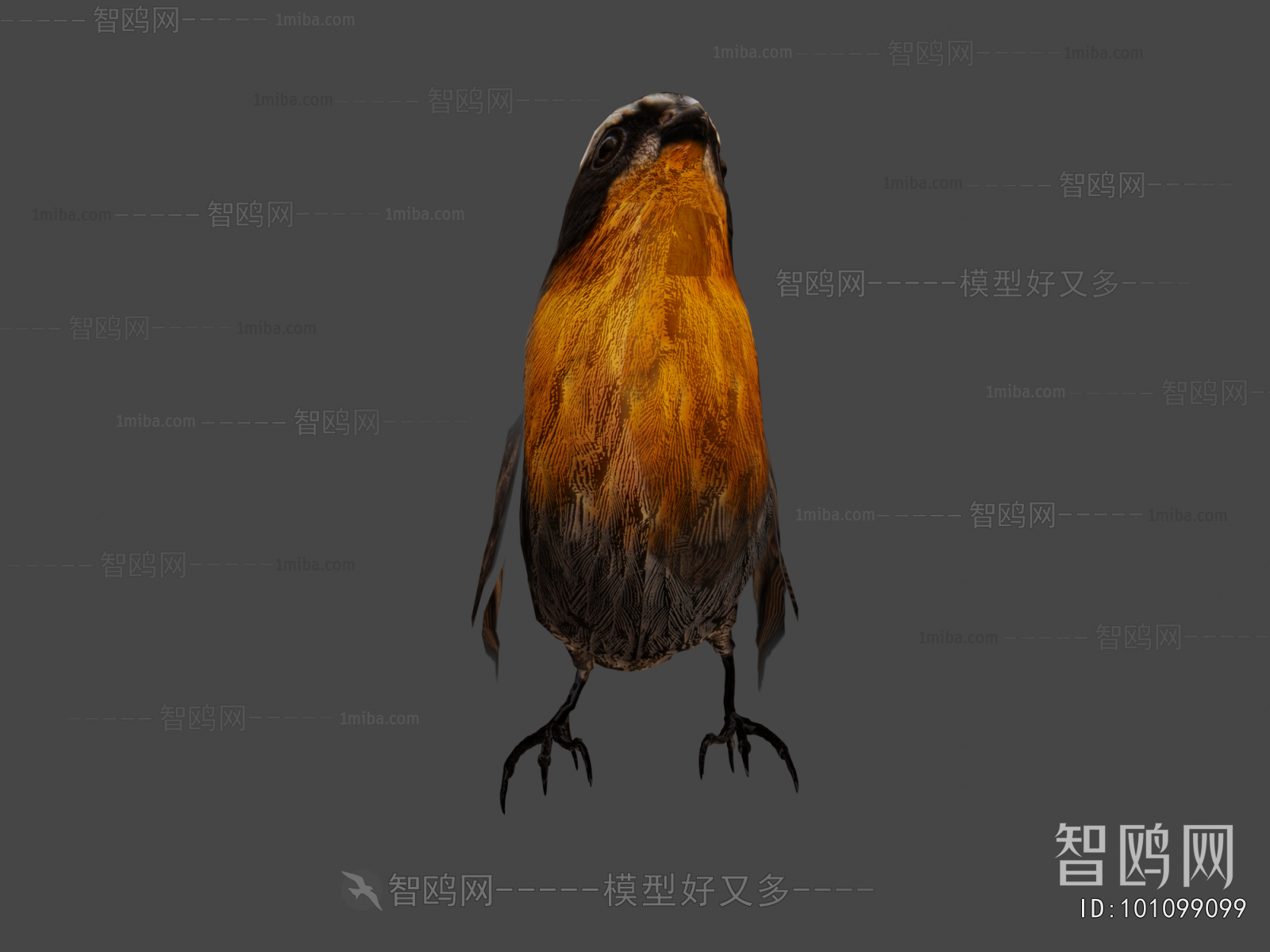 Modern Animal