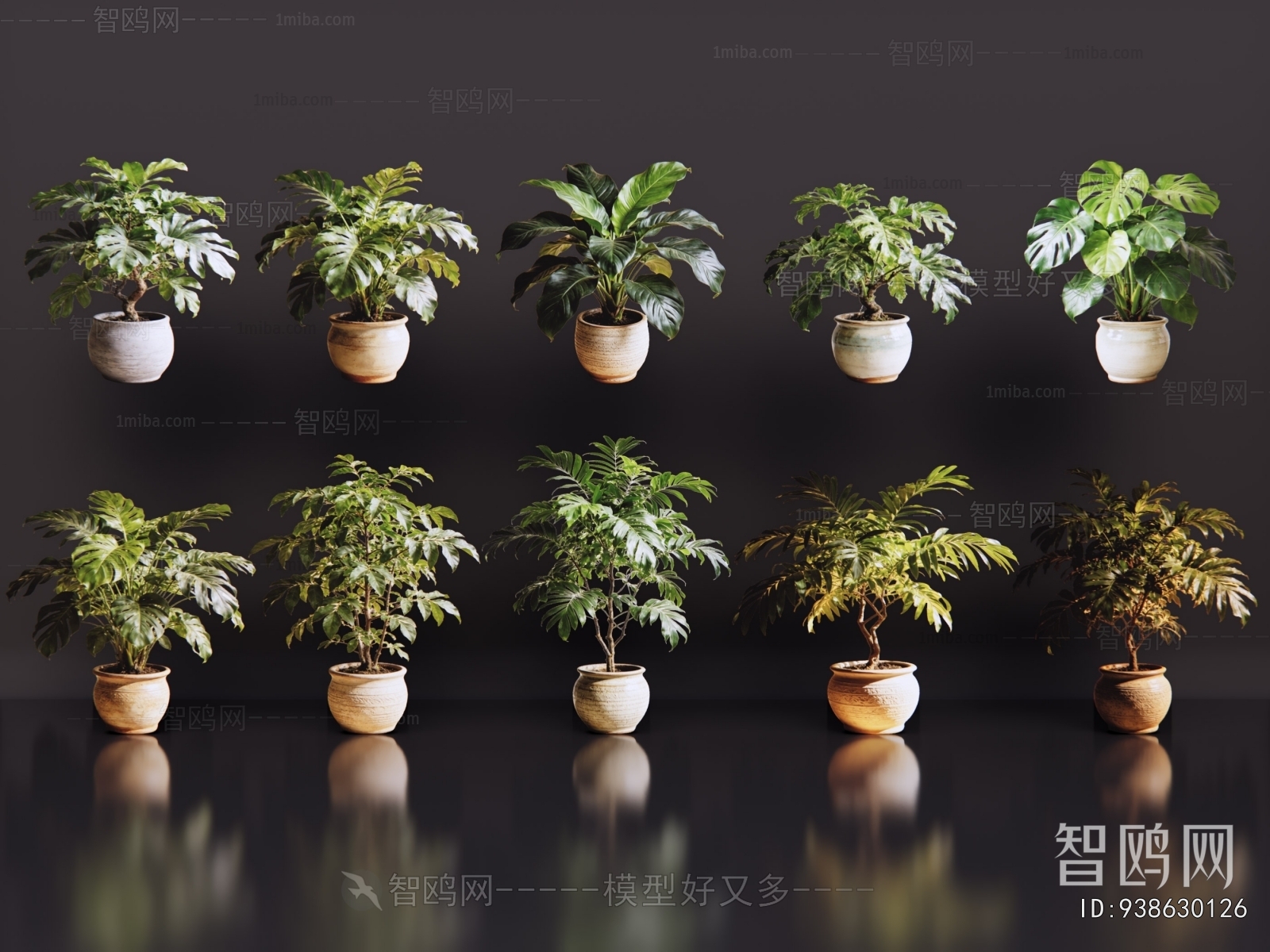 Modern Bonsai
