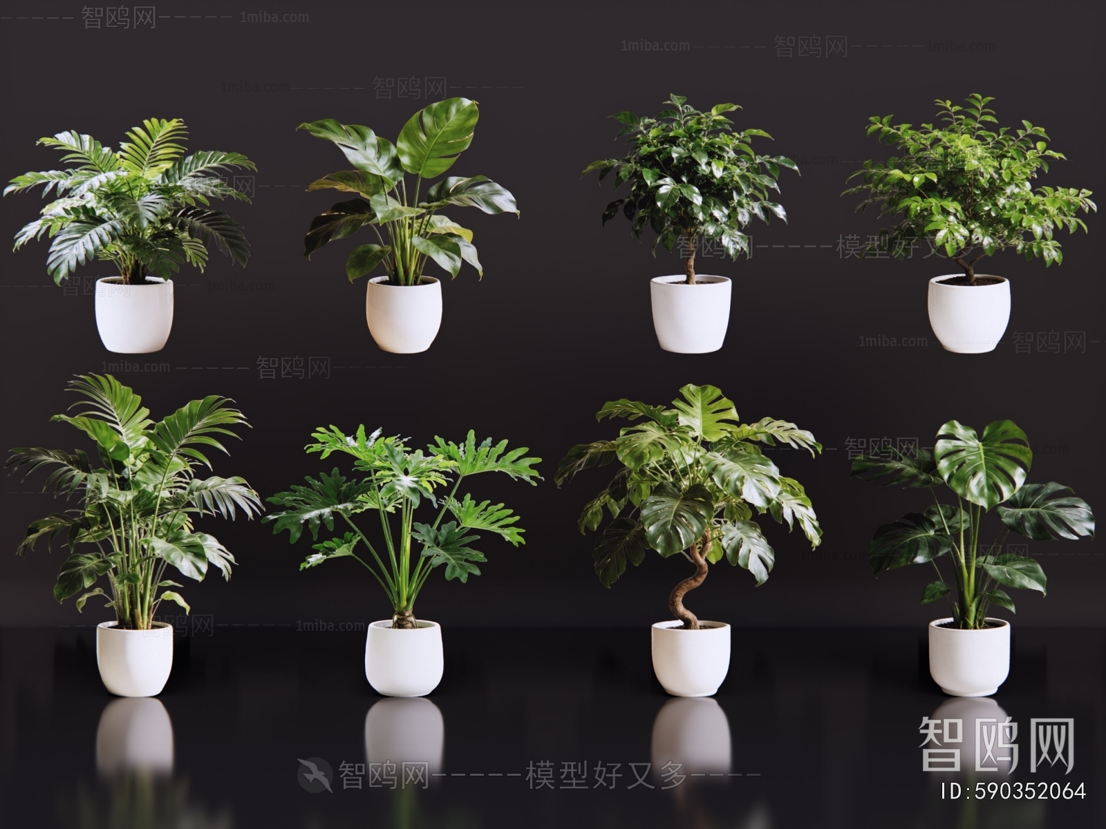 Modern Ground Green Plant Potted Plants