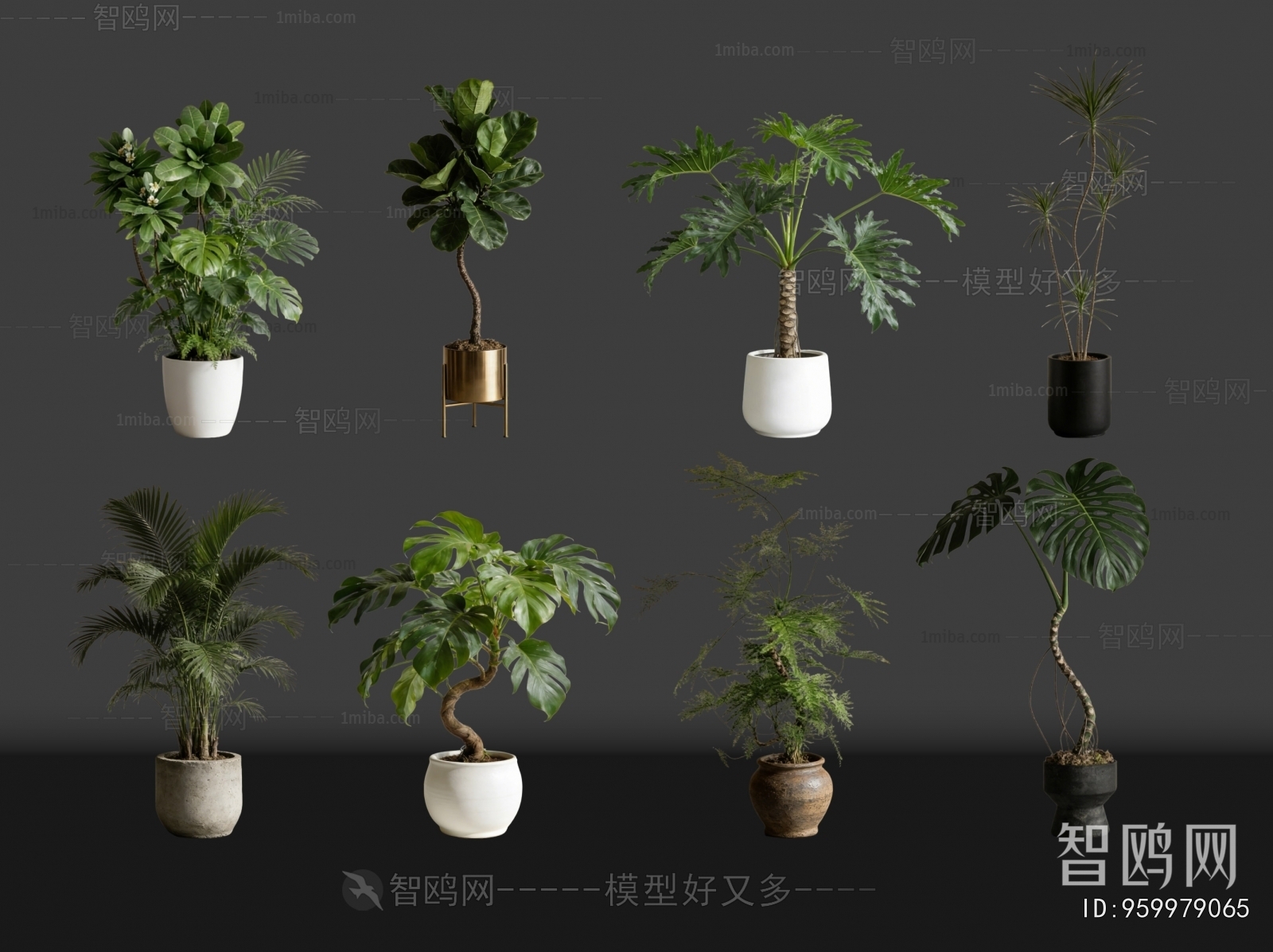 Modern Ground Green Plant Potted Plants