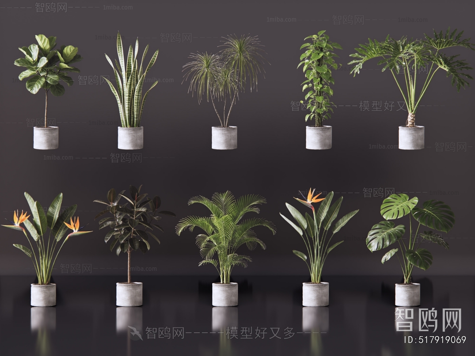 Modern Ground Green Plant Potted Plants