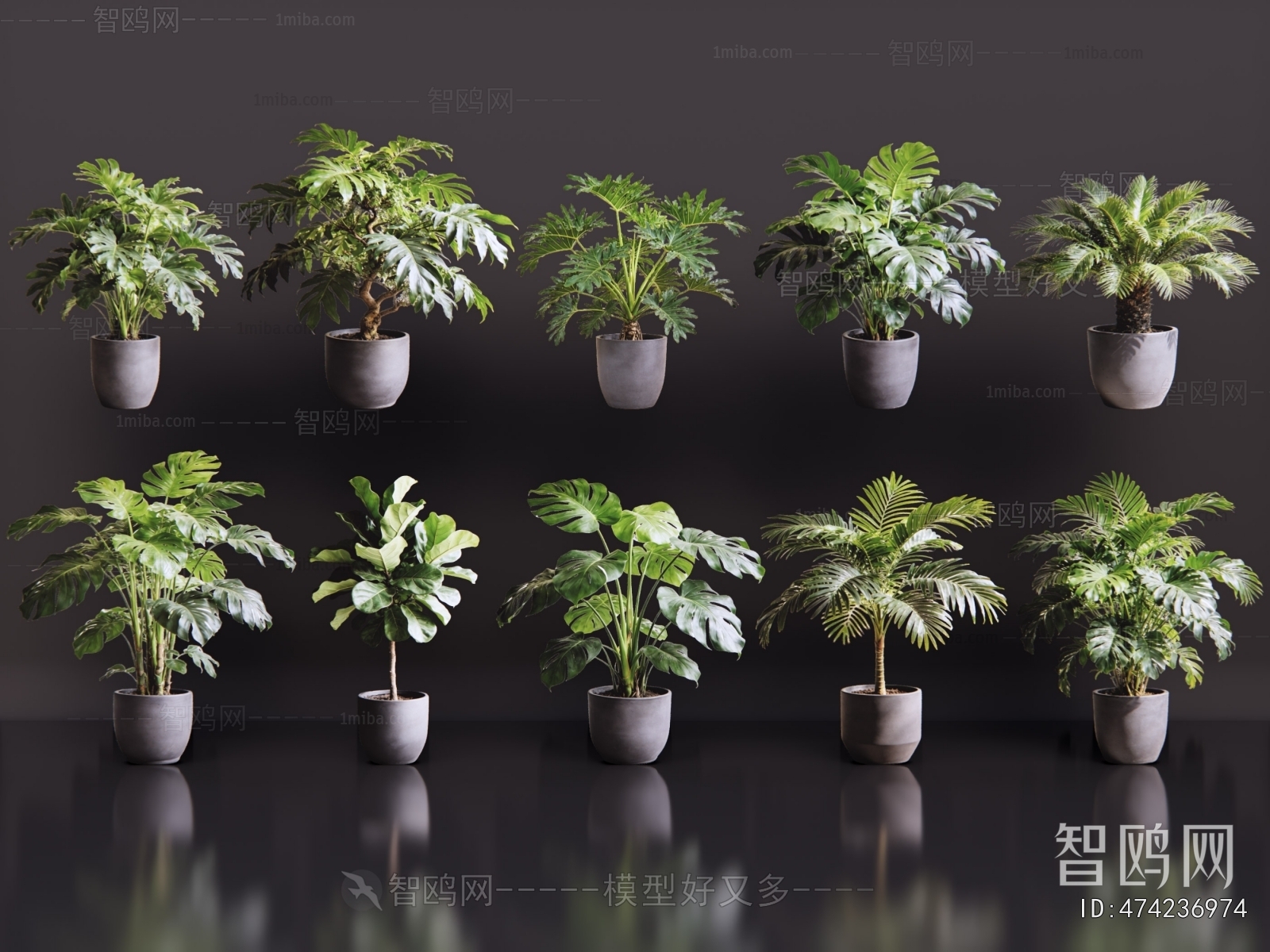 Modern Ground Green Plant Potted Plants