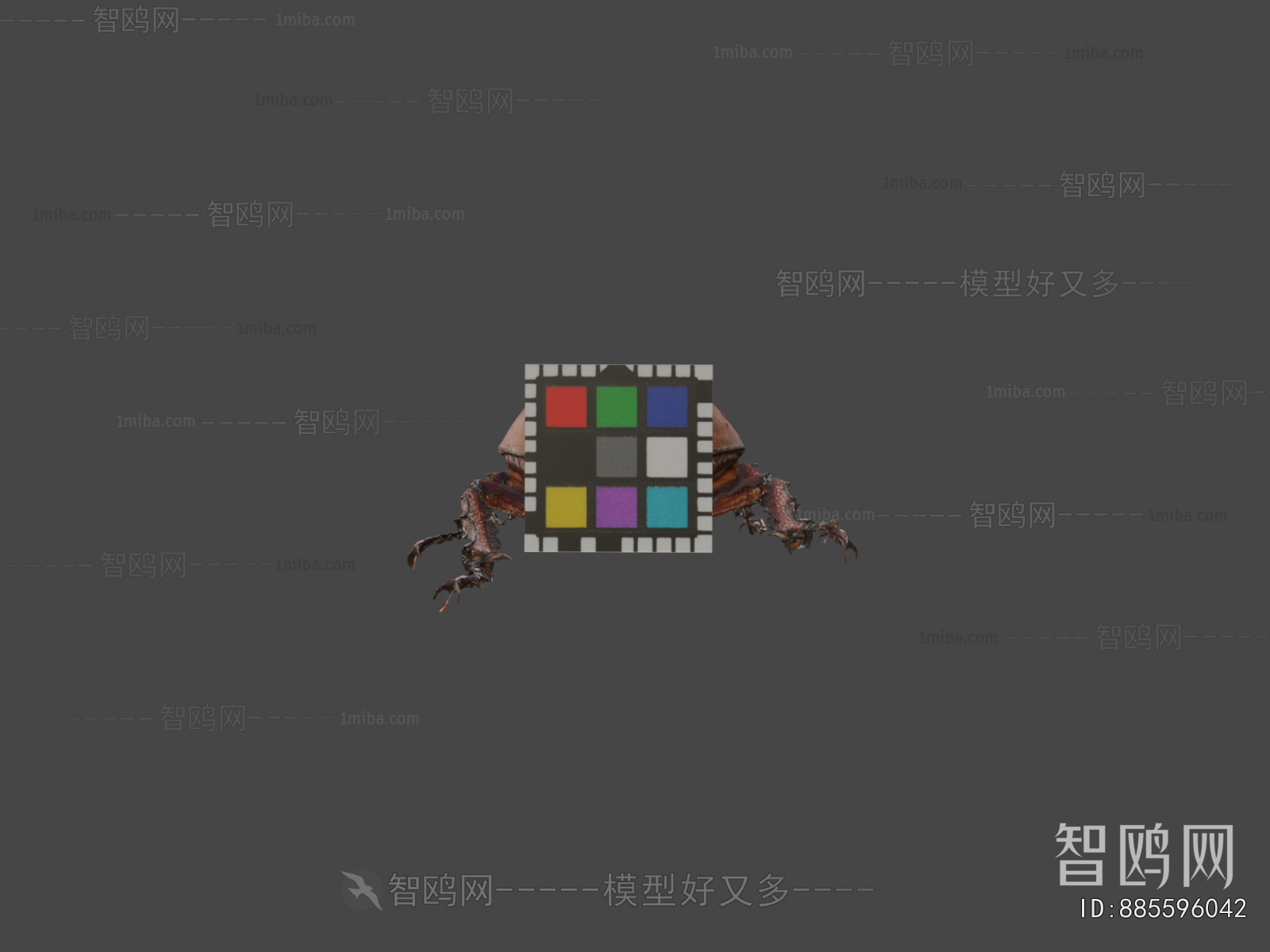 Modern Animal