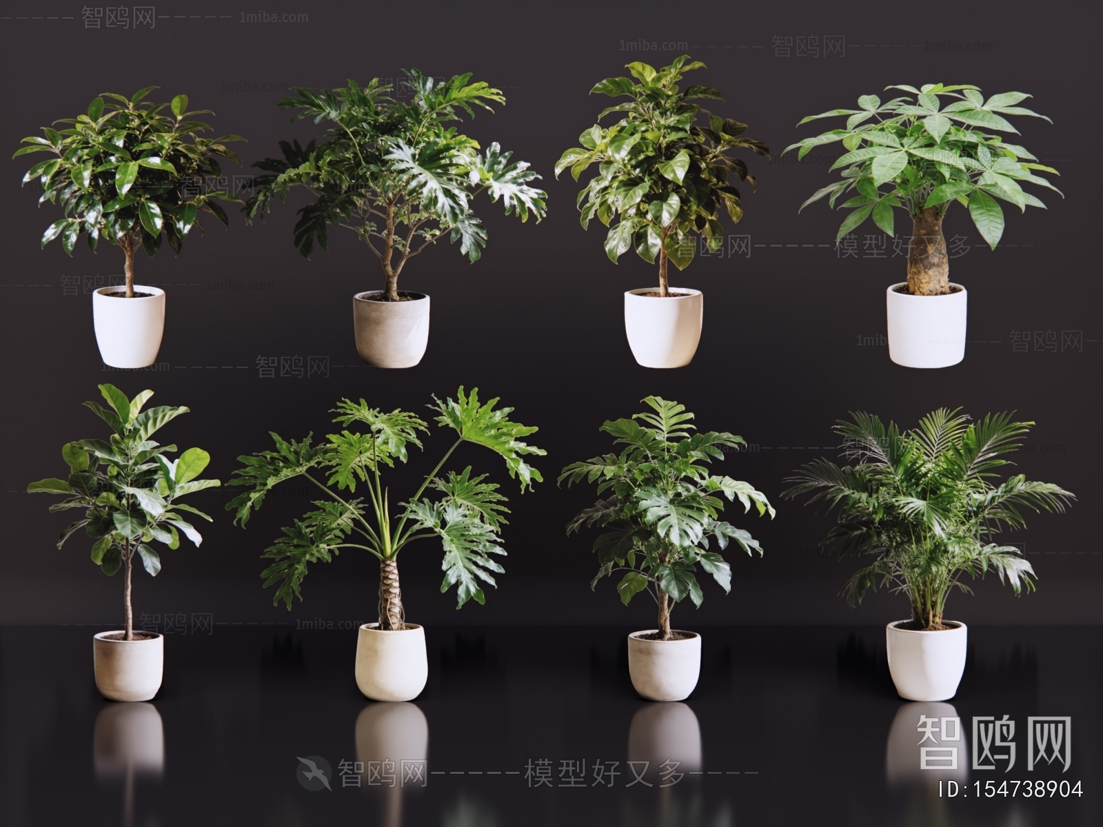 Modern Ground Green Plant Potted Plants