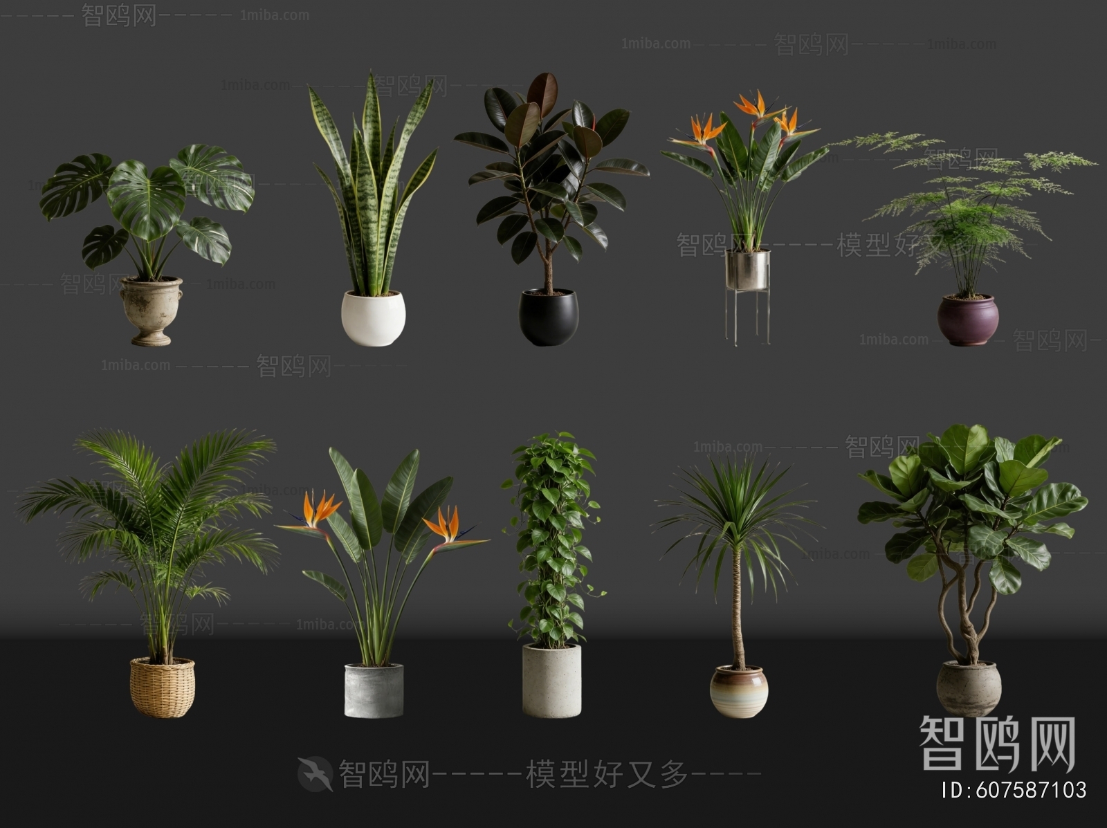 Modern Ground Green Plant Potted Plants