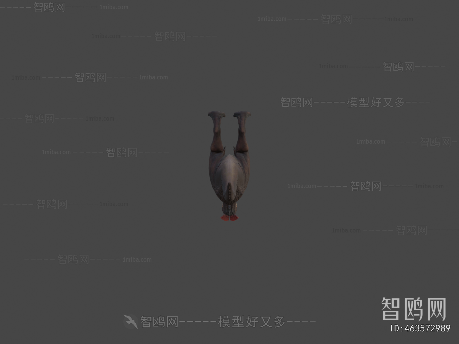 Modern Animal