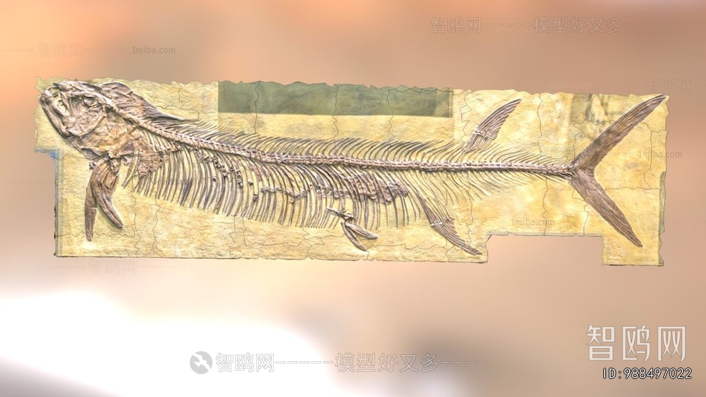 Modern Medical Equipment