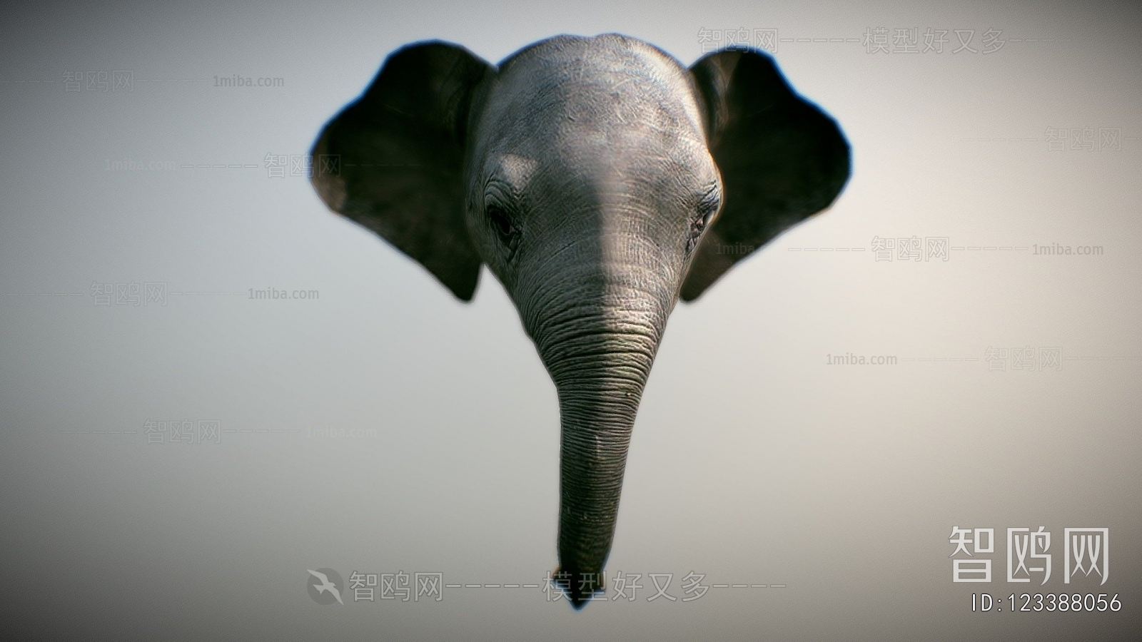 Modern Animal