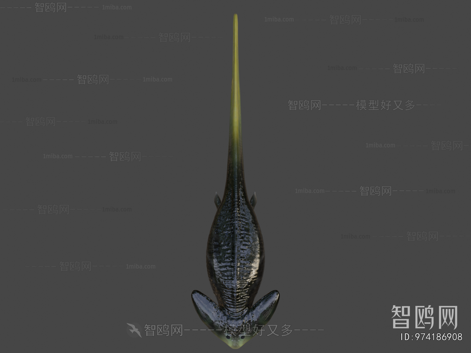 Modern Aquatic Animals