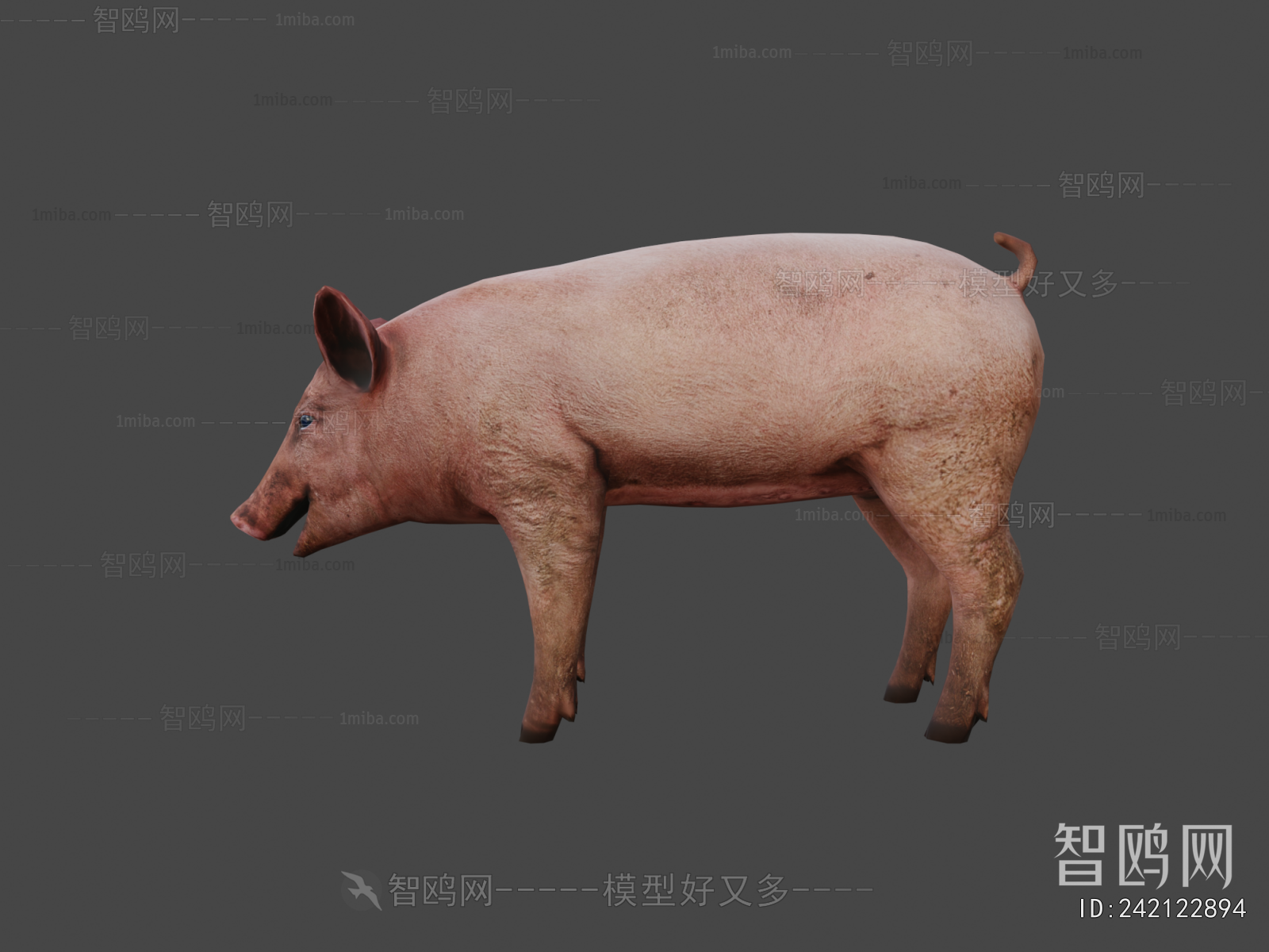 Modern Animal Pig