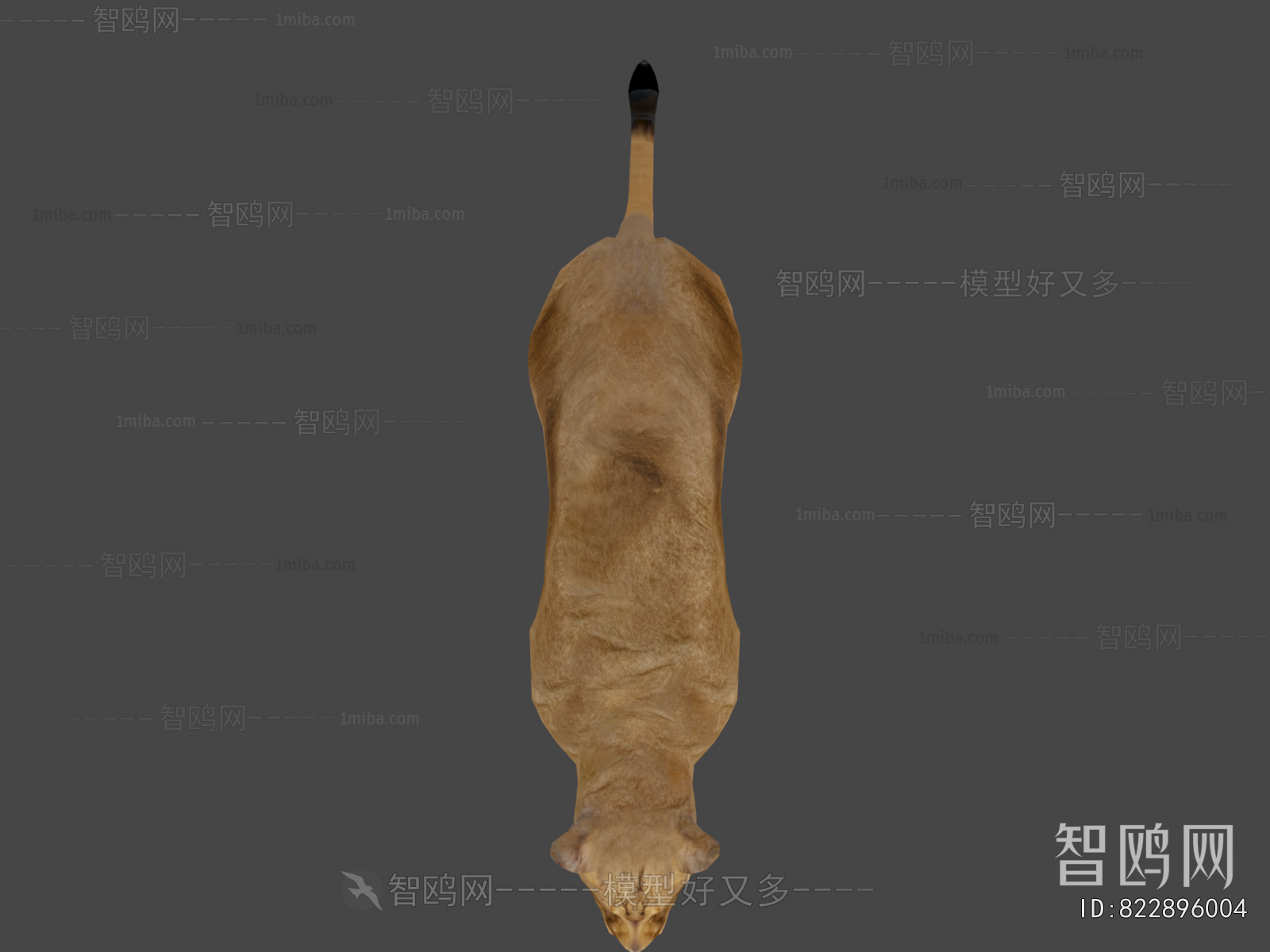 Modern Animal
