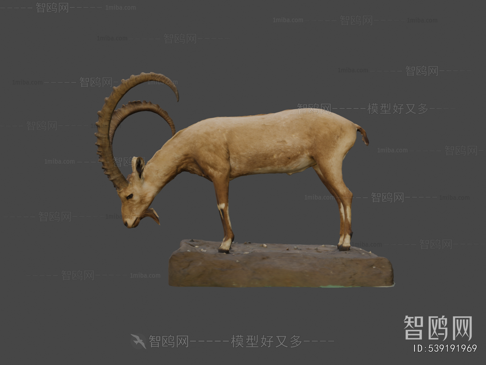 Modern Mammal