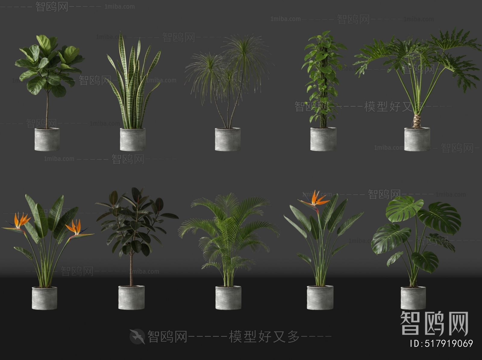 Modern Ground Green Plant Potted Plants