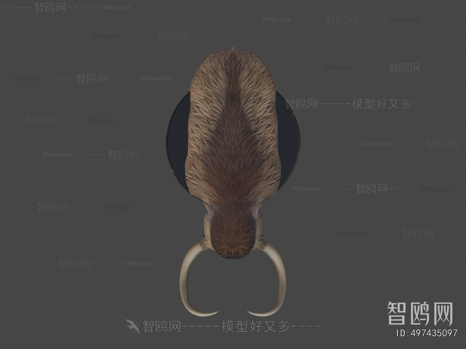 Modern Mammal